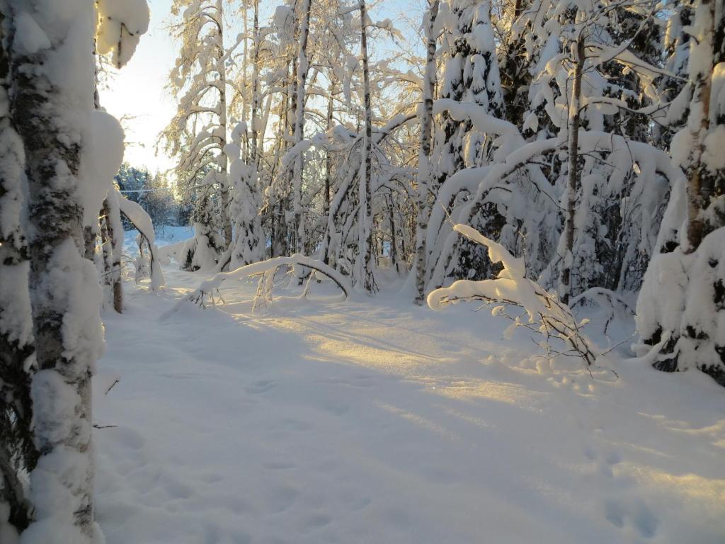 Myllyn Pirtti Cottage Naamijoki Exterior photo